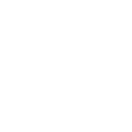 Icon2